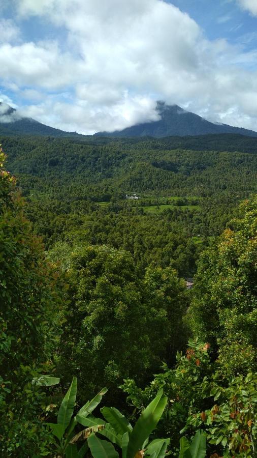 Made Homestay Munduk Kültér fotó