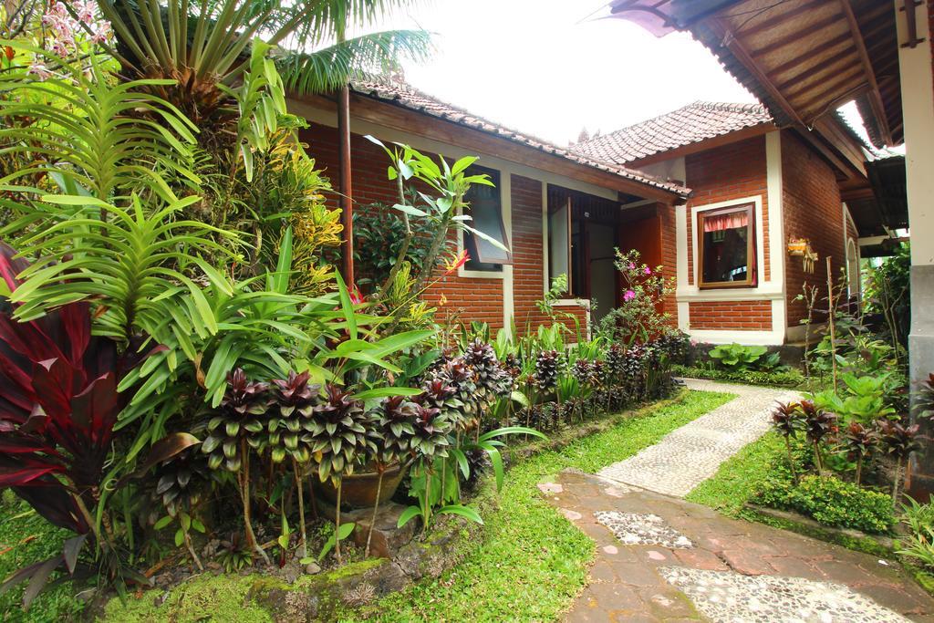 Made Homestay Munduk Kültér fotó