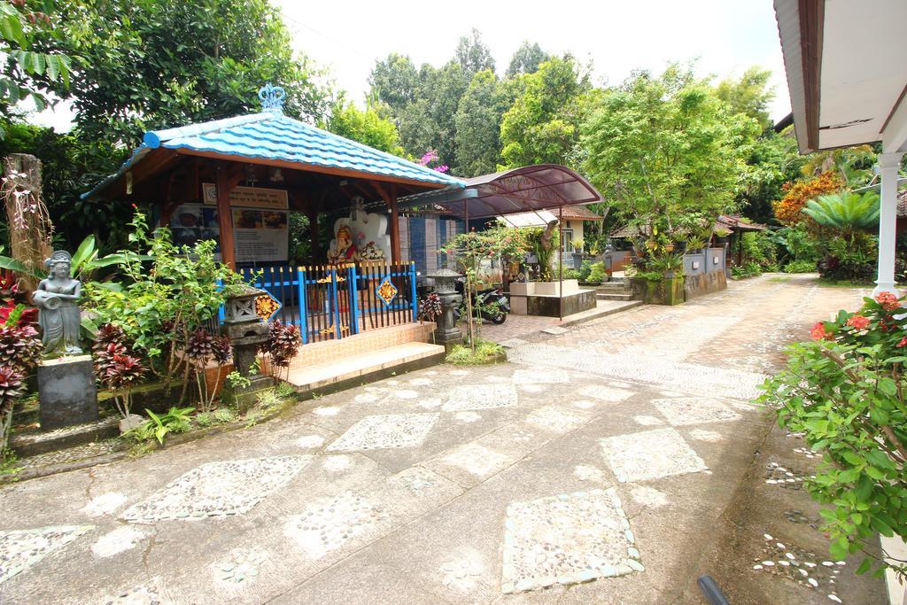 Made Homestay Munduk Kültér fotó