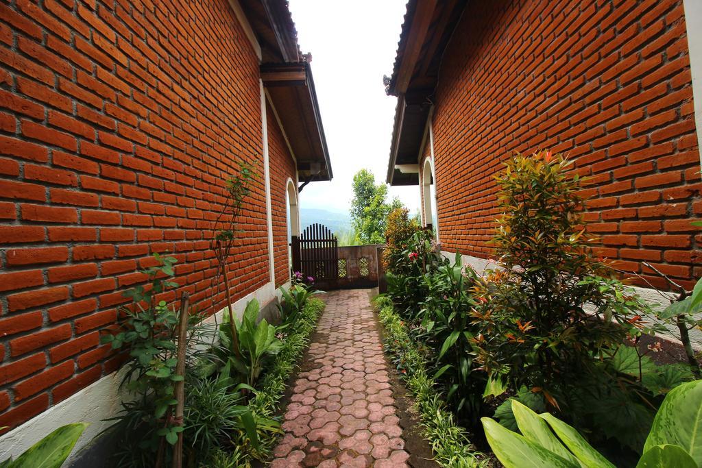 Made Homestay Munduk Kültér fotó