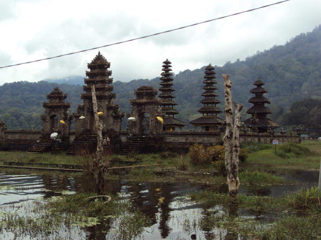 Made Homestay Munduk Kültér fotó